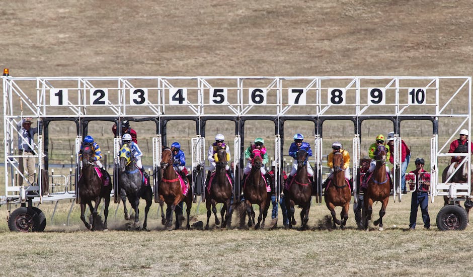 Betfair Australia horse racing odds comparison with BlueBet 2026