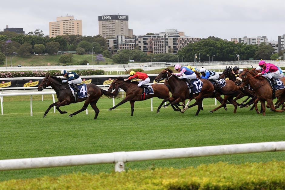 BlueBet horse racing markets Australia thoroughbred betting 2026