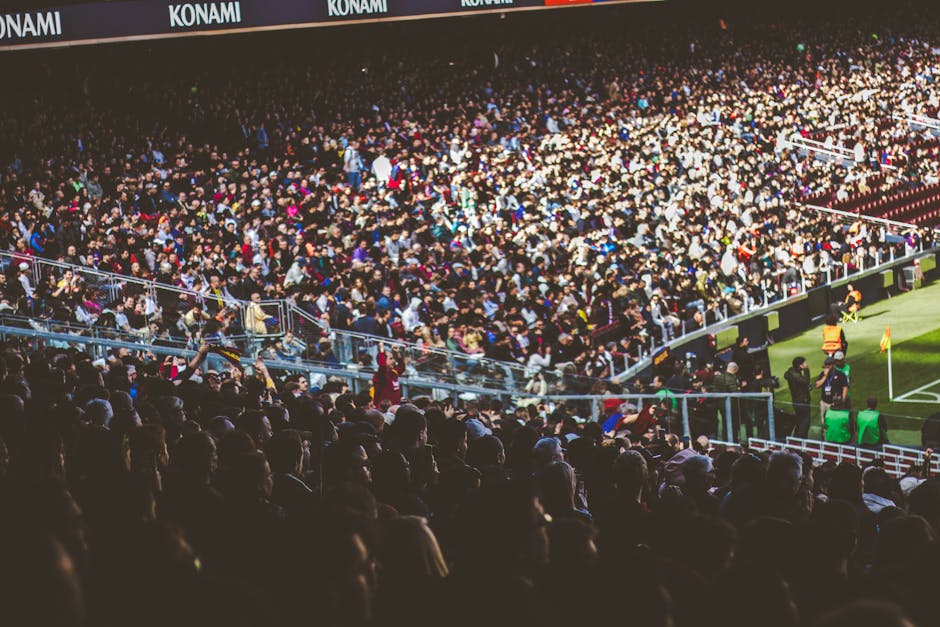 AFL NRL live sports betting atmosphere Australia best betting app 2026