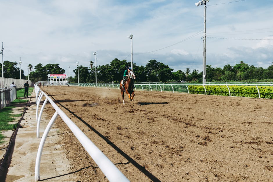 Horse racing betting comparison Unibet vs Betfair Australia exchange odds 2026