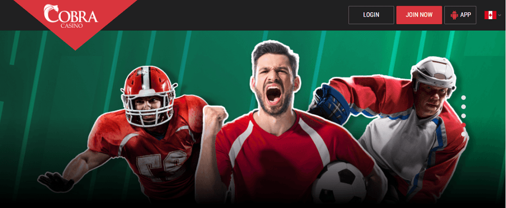 cobrabet football