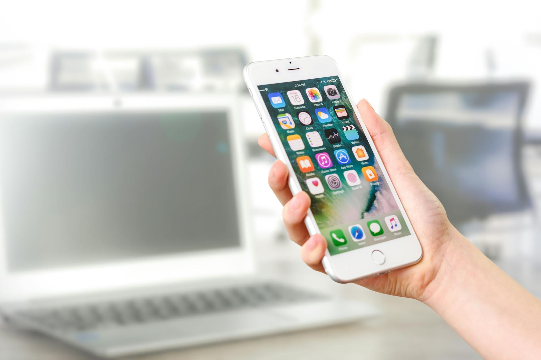 Person using a mobile sportsbook app for live sports betting